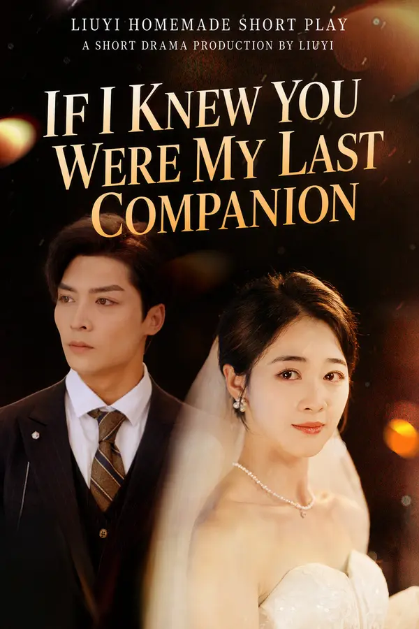 Sadly, You Weren't There Until the End poster