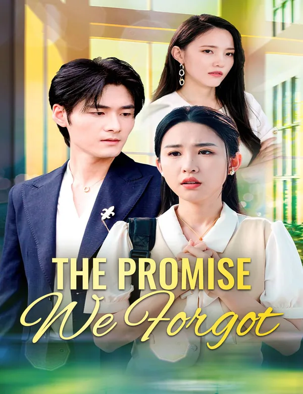 The Promise We Forgot poster