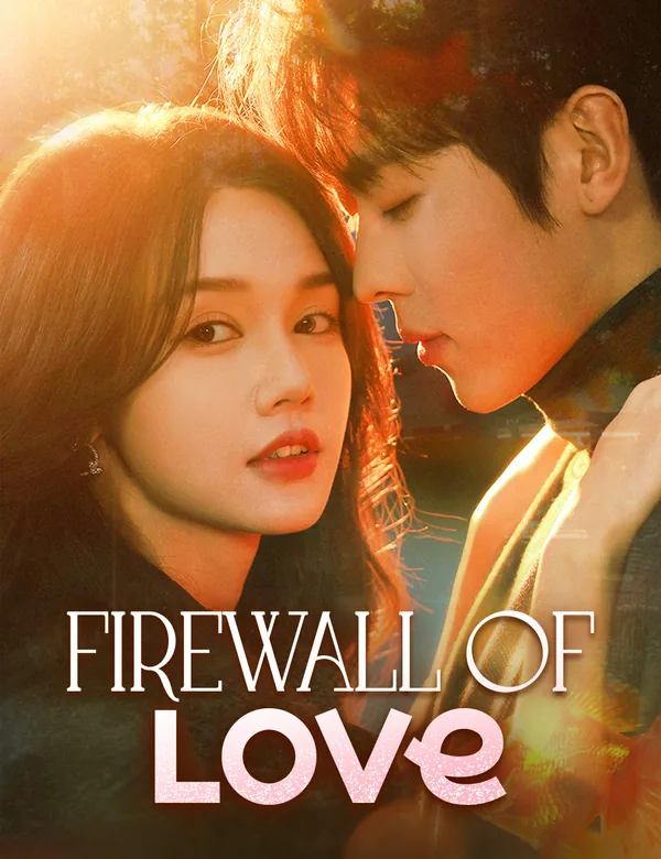 Firewall of Love poster