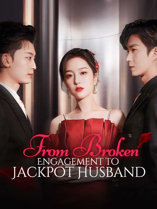 From Broken Engagement to Jackpot Husband poster
