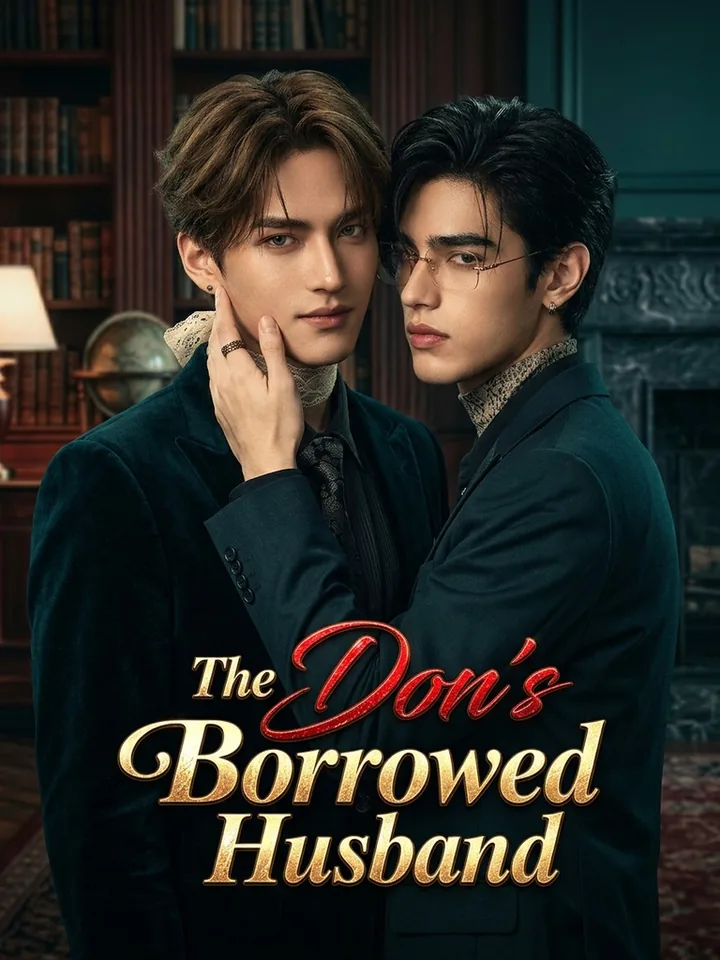 The Don's Borrowed Husband poster