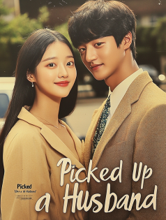 Picked Up a Husband poster