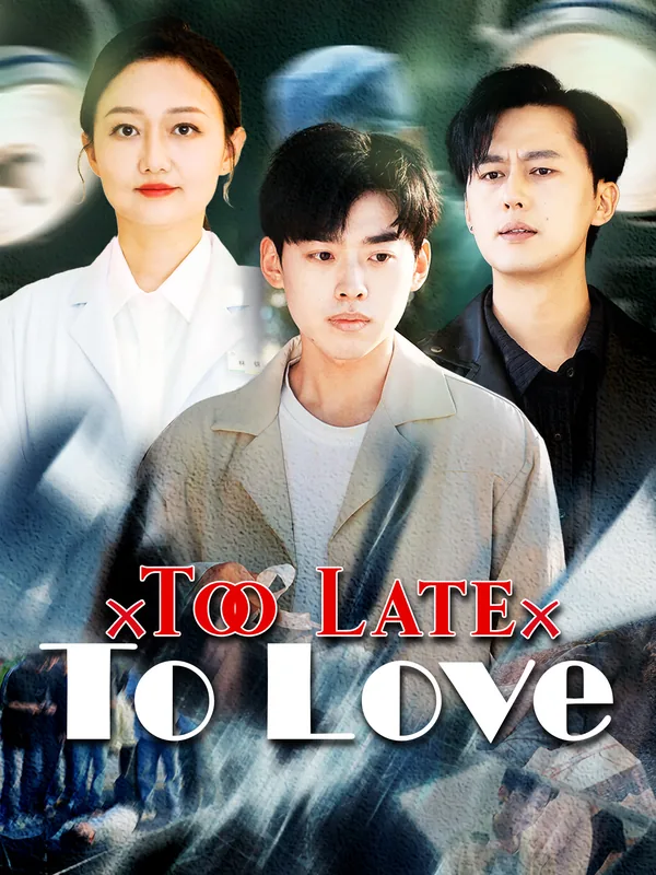 Too Late to Love poster