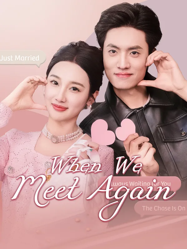 When We Meet Again poster