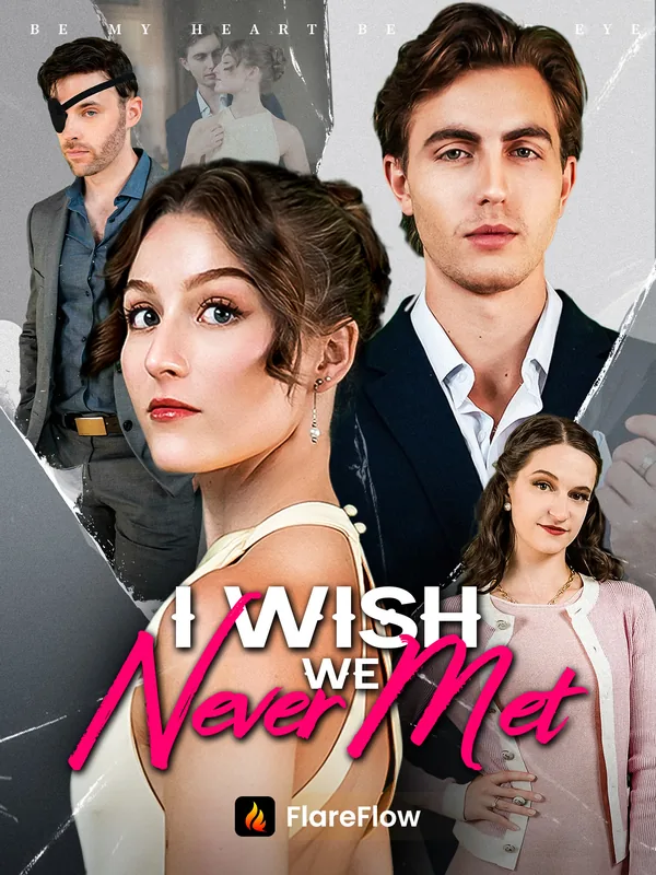 I Wish We Never Met poster