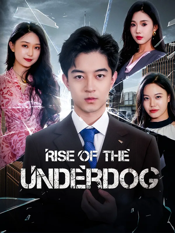 Rise of the Underdog poster
