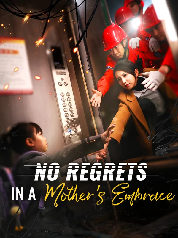 No Regrets in a Mothers Embrace poster
