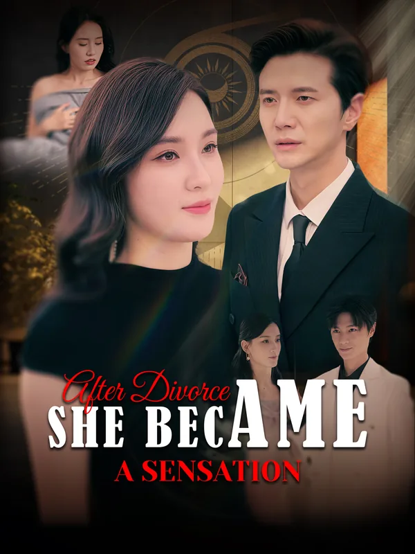 After Divorce, She Became a Sensation poster