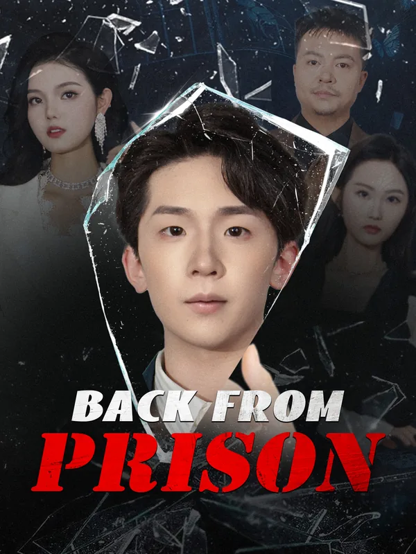 Back From Prison poster
