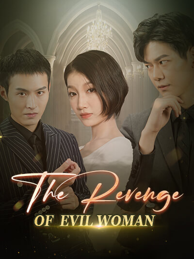 The Revenge of Evil Woman poster