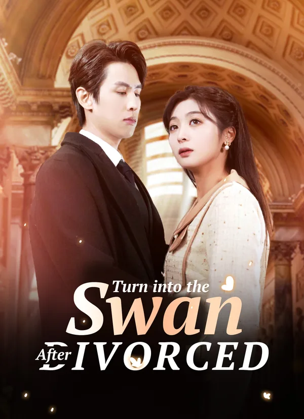 Turn into the Swan After Divorced poster