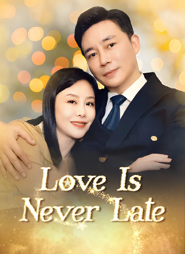 Love Is Never Late poster