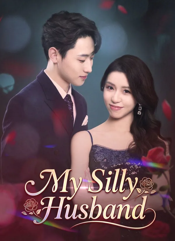 My Silly Husband poster