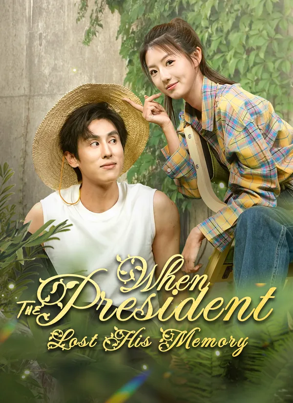 When The President Lost His Memory poster