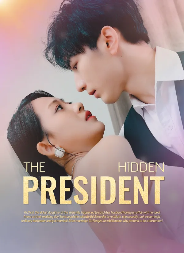 The Hidden President poster