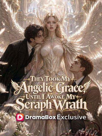 They Took My Angelic Grace, Until I Awoke My Seraph Wrath poster