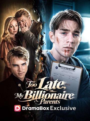 Too Late, My Billionaire Parents poster