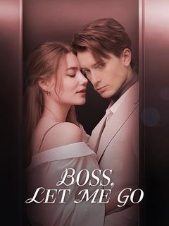 Boss Let Me Go poster