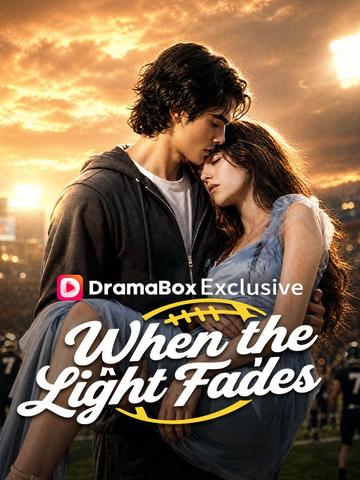 When the Light Fades poster