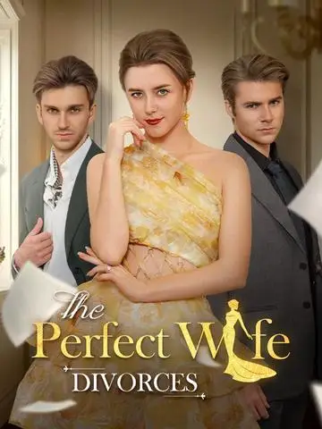 The Perfect Wife Divorces poster
