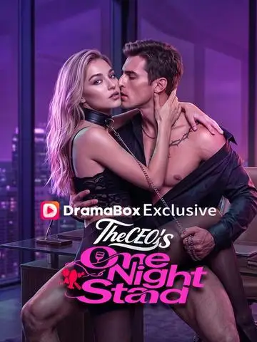 The CEO's One Night Stand poster