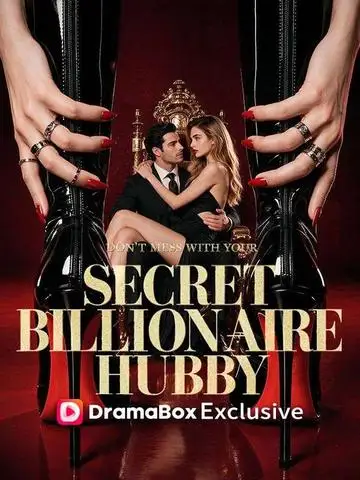 Don't Mess With Your Secret Billionaire Hubby poster