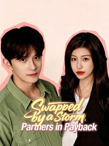 Swapped by a Storm, Partners in Payback poster