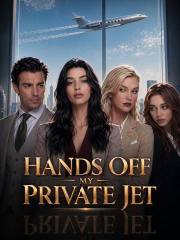 Hands Off My Private Jet poster