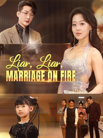 Liar, Liar, Marriage on Fire poster