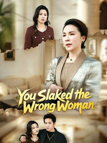 You Slapped the Wrong Woman poster
