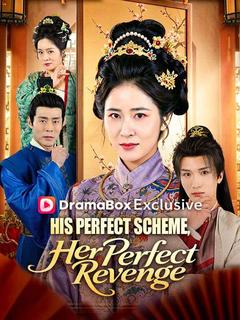 His Perfect Scheme, Her Perfect Revenge poster