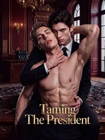Taming The President poster