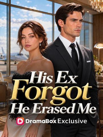 His Ex Forgot, He Erased Me poster