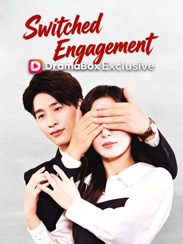 Switched Engagement poster