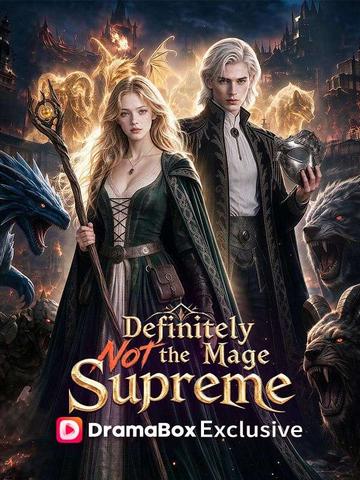 Definitely Not the Mage Supreme poster