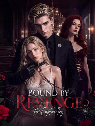 Bound by Revenge: His Captive Toy poster