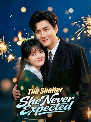 The Shelter She Never Expected poster
