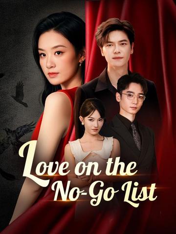 Love on the No-Go List poster