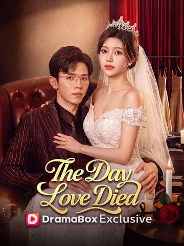 The Day Love Died poster