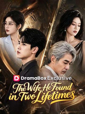 The Wife He Found in Two Lifetimes poster