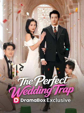 The Perfect Wedding Trap poster