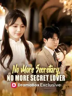 No More Secretary, No More Secret Lover poster