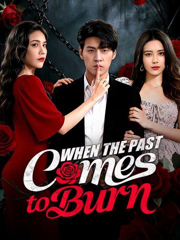 When the Past Comes to Burn poster