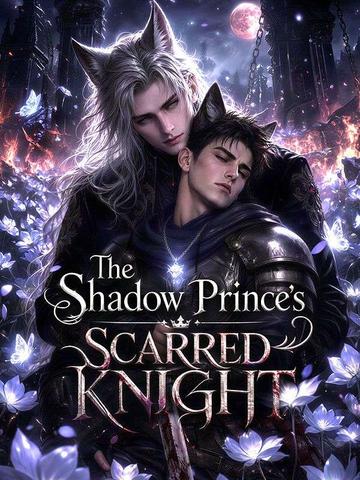 The Shadow Prince’s Scarred Knight poster