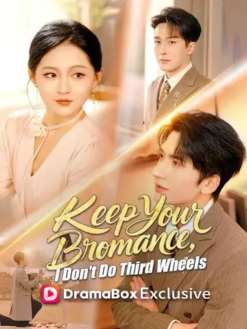 Keep Your Bromance, I Don't Do Third Wheels poster