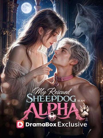My Rescued Sheepdog Is An Alpha King poster