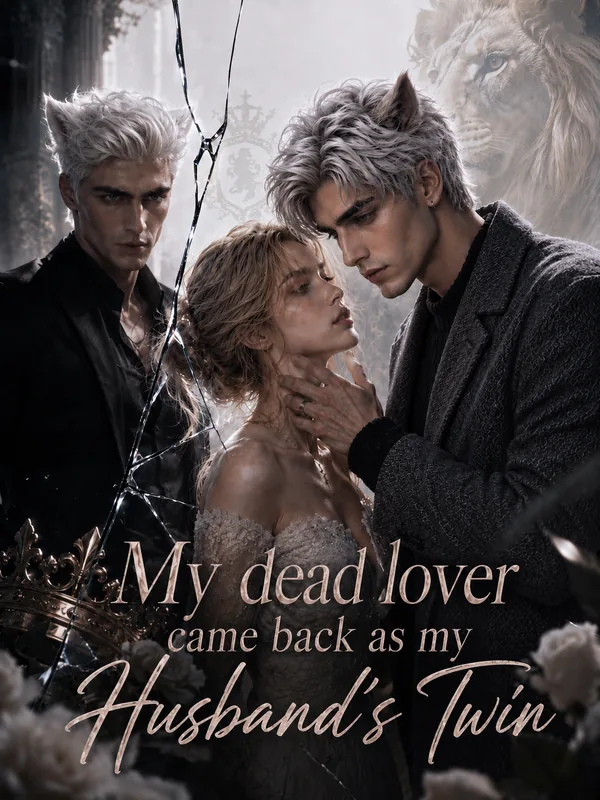 My dead lover came back as my Husband's Twin poster