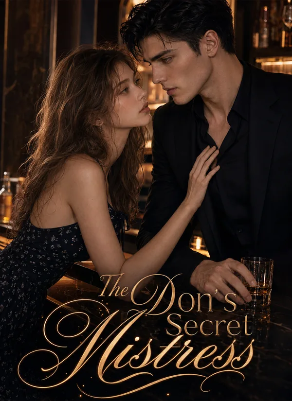 The Don's Secret Mistress poster
