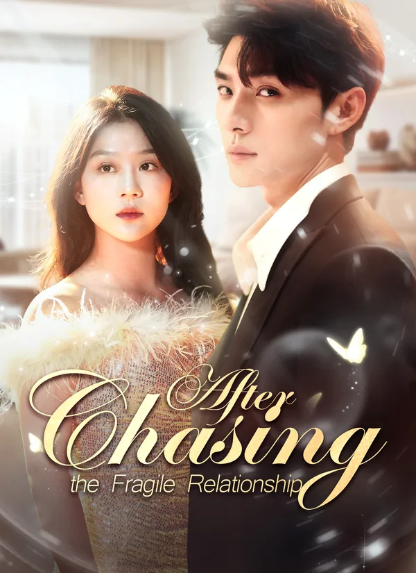 Chasing After the Fragile Relationship poster