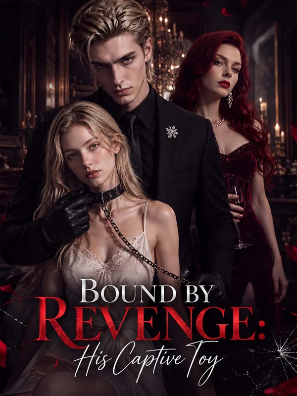 Bound by Revenge: His Captive Toy poster